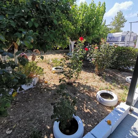 Готель Green Garden Caravan Agrilia Екстер'єр фото