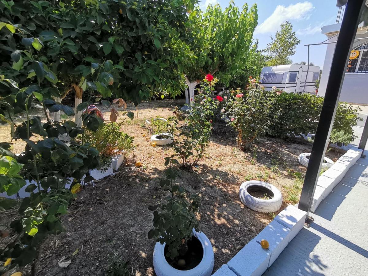 Готель Green Garden Caravan Agrilia Екстер'єр фото